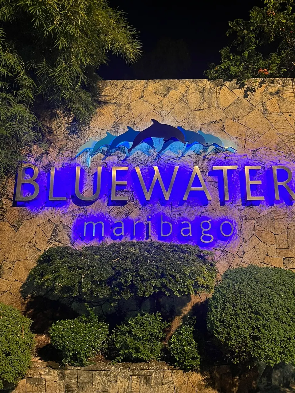 [세부] 제롬 가이드님과 함께했던 대학 졸업 세부여행✈️????