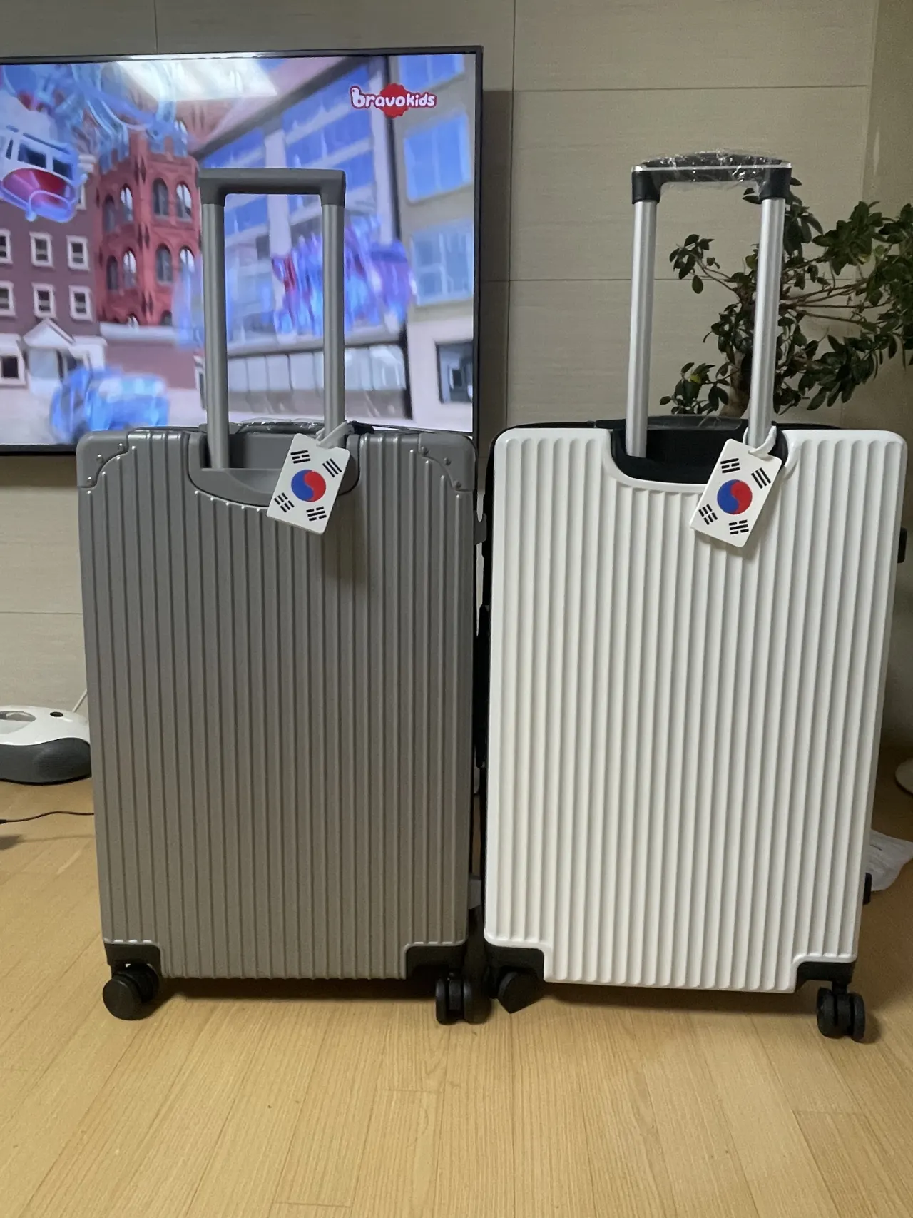 [세부] 내일 세부로 가요✈️