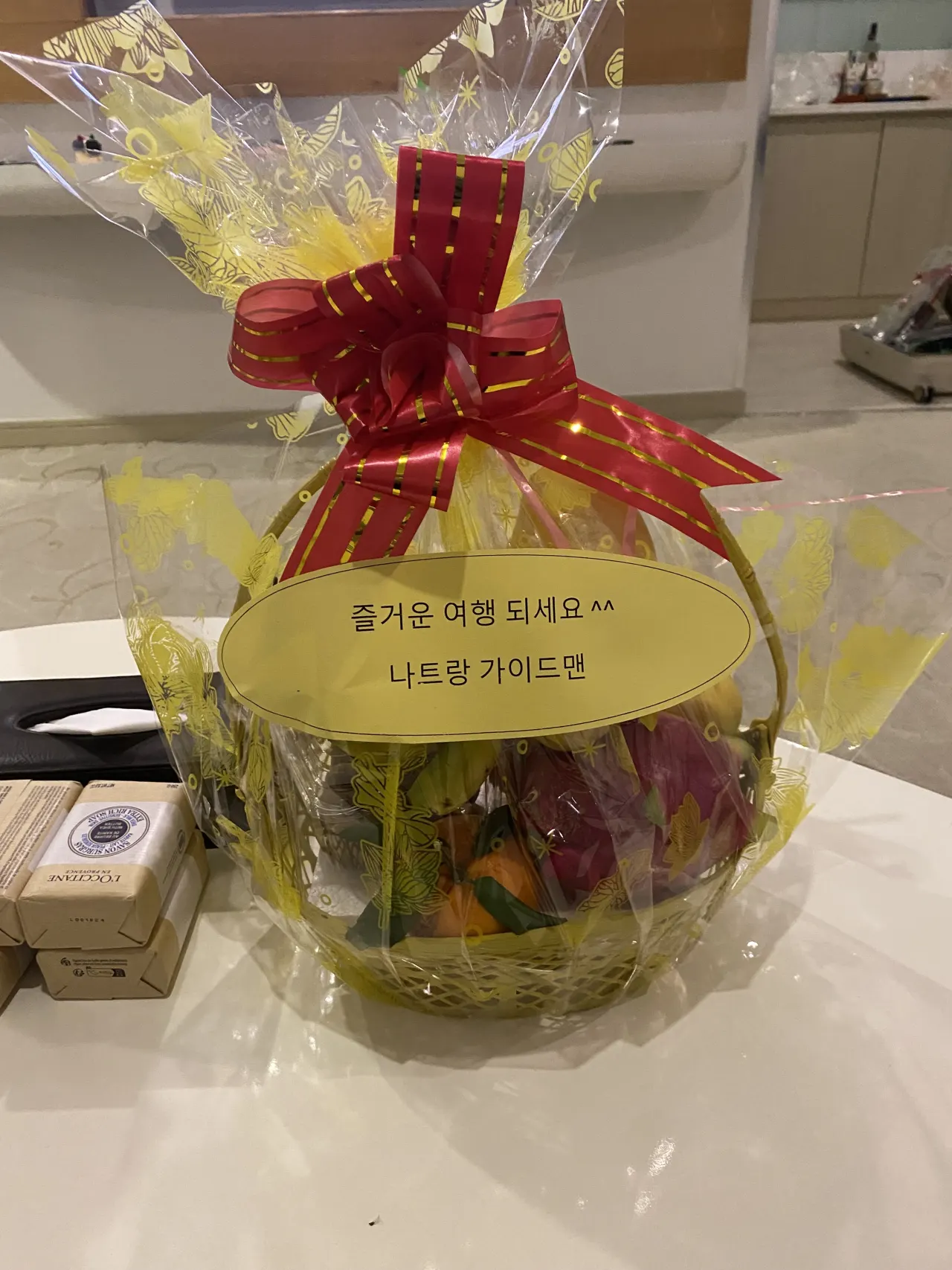 [나트랑] 빈 가이드님과 함께했던 나트랑 후기