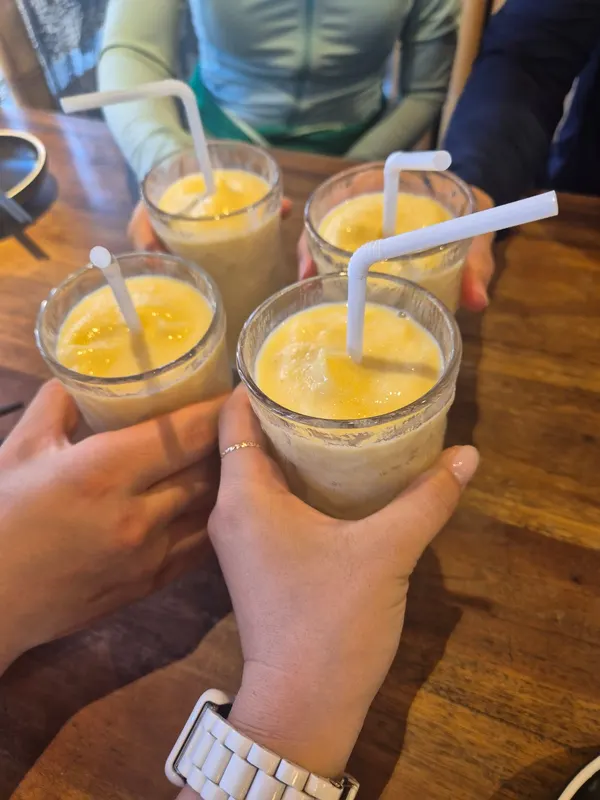 보홀 여행 망했어요!