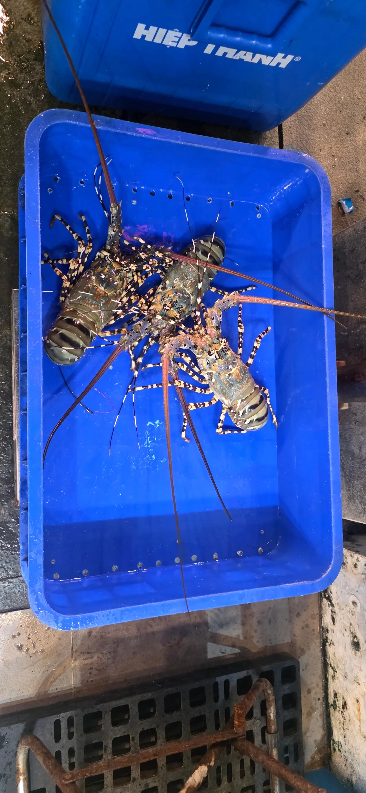 광수가이드님과 함께한 즐겁고 행복한 푸꾸옥 여행!!~~^^